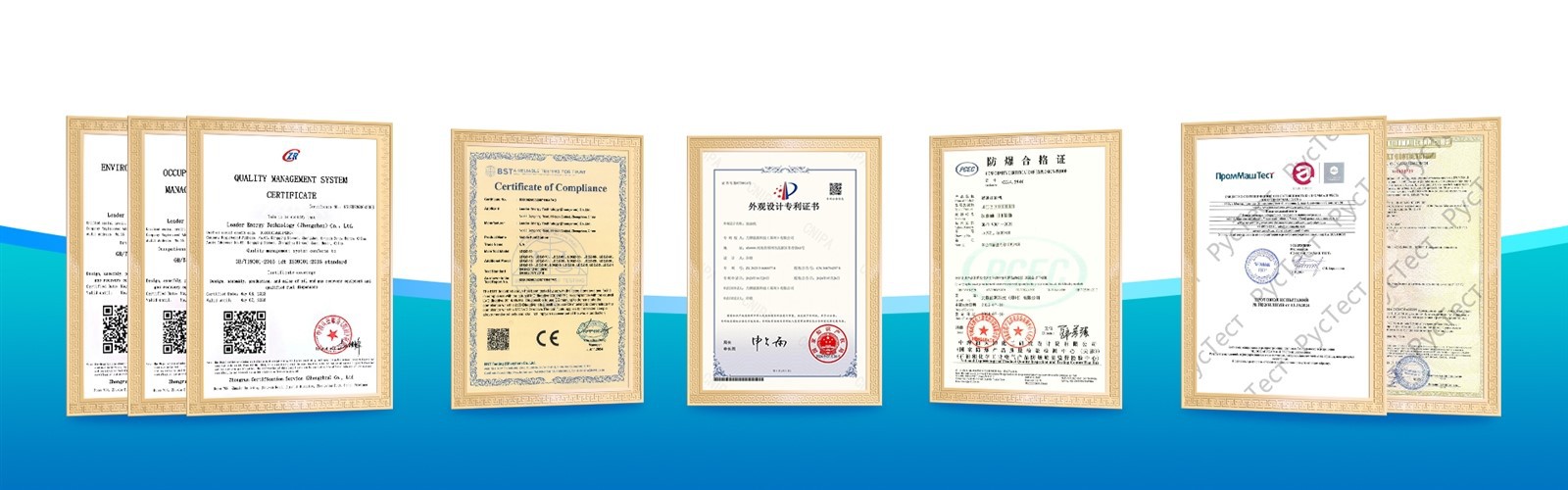 Leader Energy Certificate